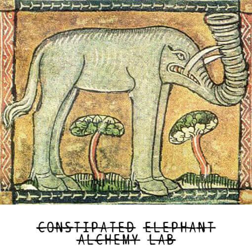 bpal16-WEB-constipated-elephant